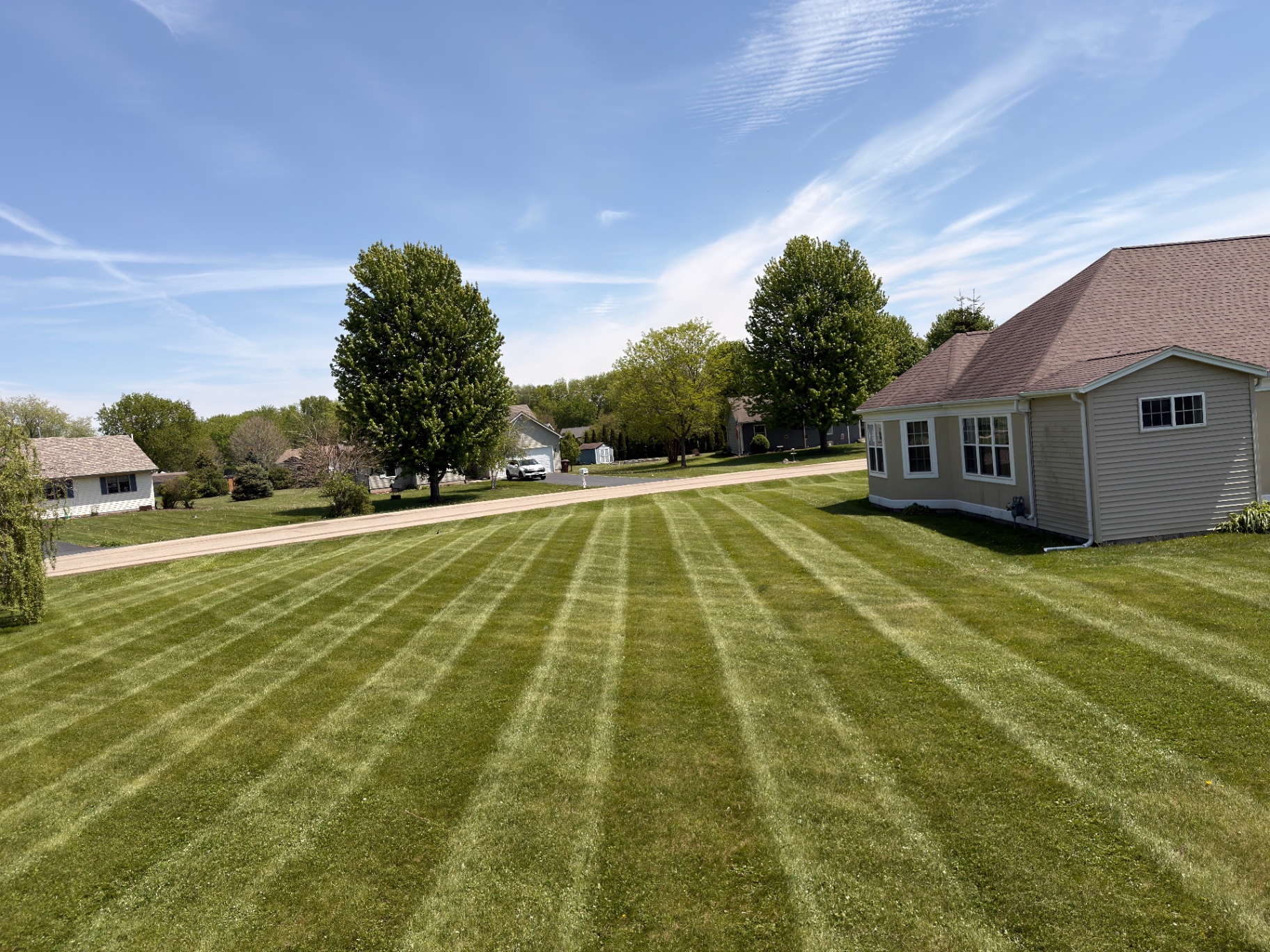 Full Property Mow